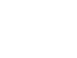 Discord logo white